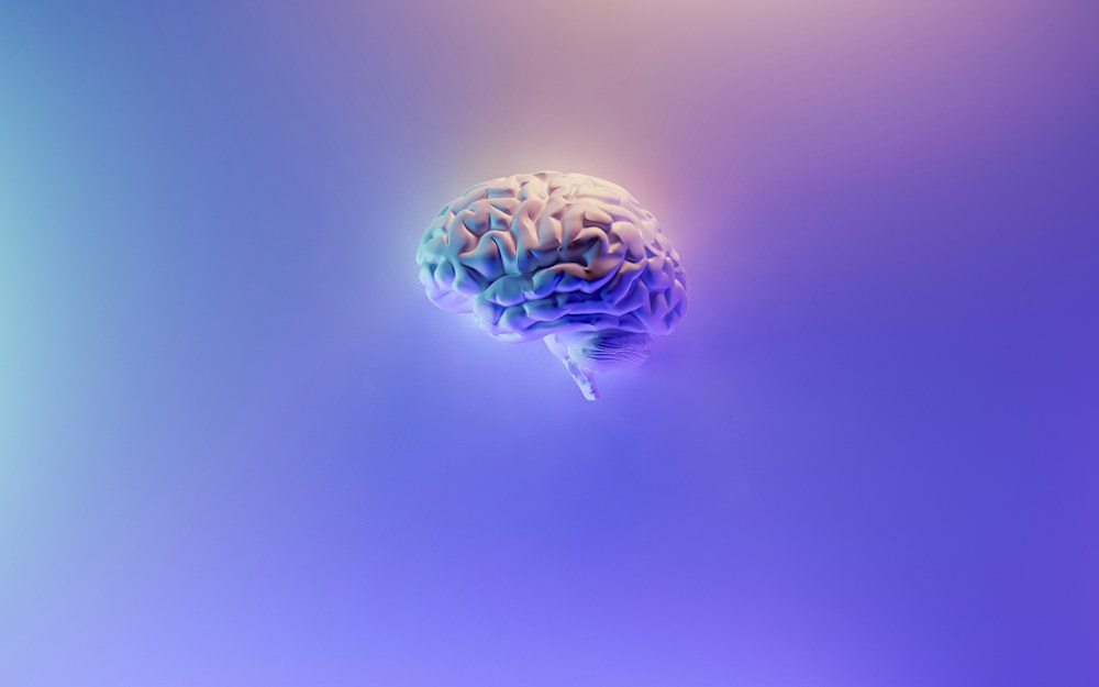 Guide to Emotional Intelligence: All-Inclusive Course Bundle